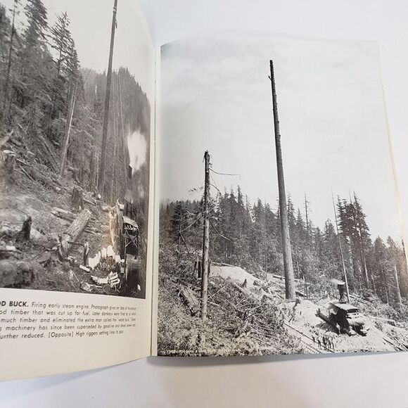 1984 This Was Logging Illustrated PB Book Ralph Andrews Historical Photographs - Picture 10 of 10